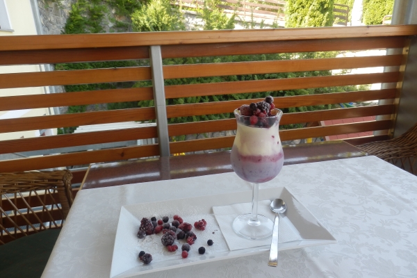 Hotel Gostišče Na Pajčni